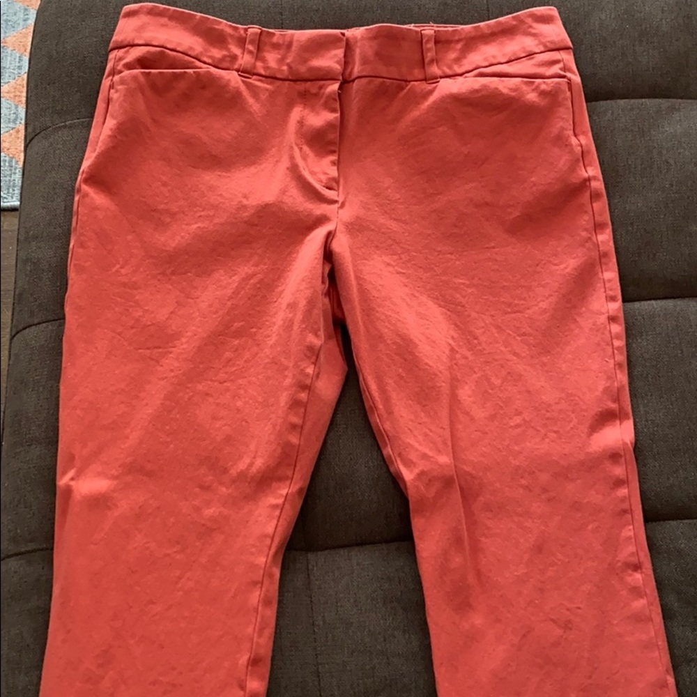 Loft Outlet Modern Skinny Ankle Pants